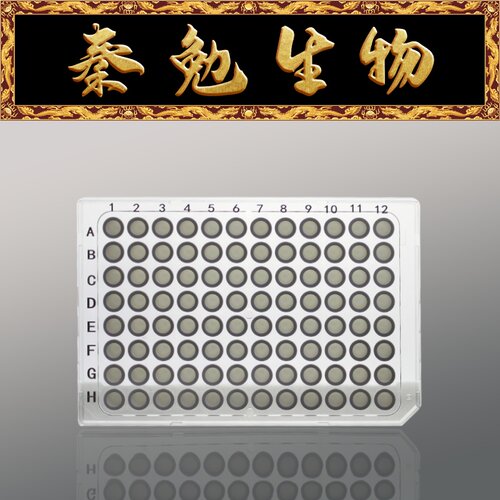 LABSELECT96孔100μL半裙边PCR板