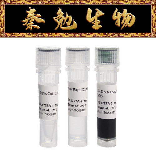 Biosharp快速限制性内切酶