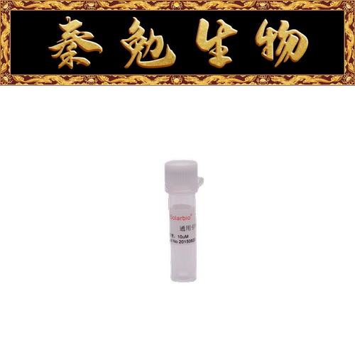 索莱宝通用引物T7PC2410
