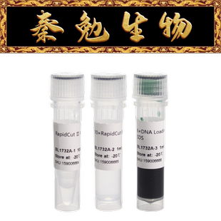 Biosharp白鲨 BL1732A RapidCut Ⅱ RsaI 快速限制性内切酶