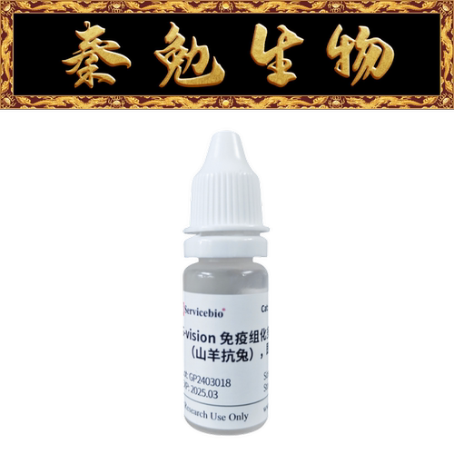 赛维尔S-vision免疫组化多聚二抗