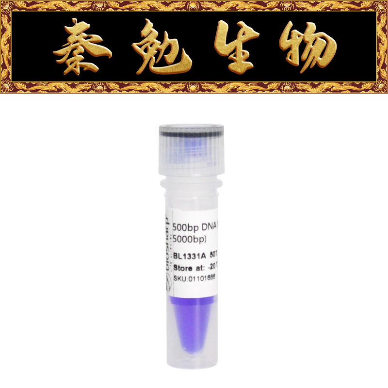 Biosharp白鲨500bpDNAMarker