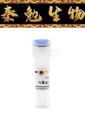 碧云天 A7031 大鼠IgG