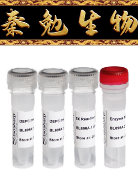 Biosharp白鲨 BL696A 一管化反转录试剂盒（含gDNA酶）