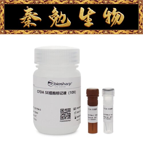 SE细胞增殖与示踪检测试剂盒