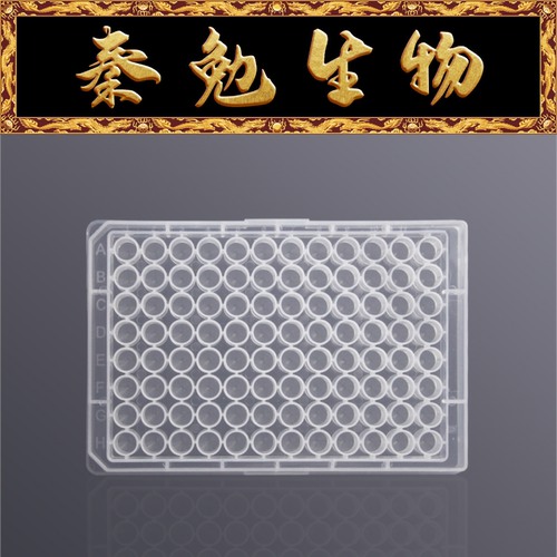 LABSELECT96孔圆口V底透明深孔板