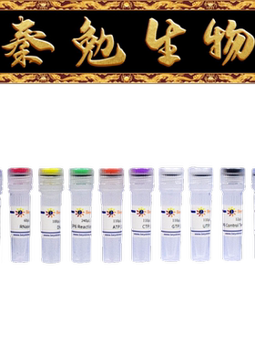 碧云天 R7020S/R7020M SP6高产量RNA转录试剂盒