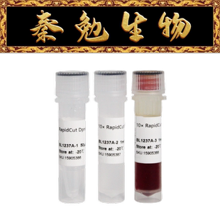 Biosharp白鲨 BL1237A RapidCut DpnI 快速限制性内切酶