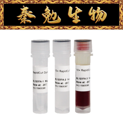 Biosharp白鲨RapidCutDpnI