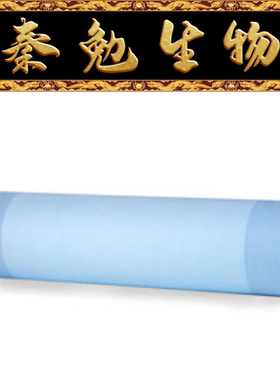 bio-rad 货号：1620177 PVDF转印膜,0.2μm