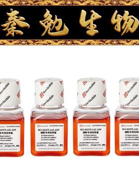 赛维尔 货号：GZ00005-500ML NCIH1975LUC-GFP标签细胞专用培养基