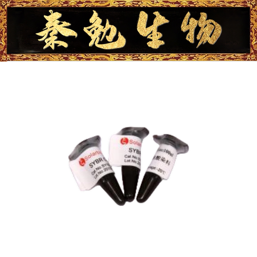 索莱宝SYBRGreenIIRNASY1040