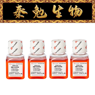 RPMI-8226细胞专用培养基赛维尔