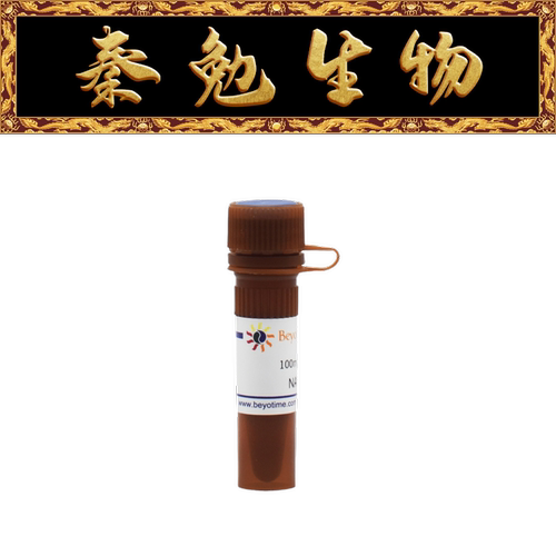 碧云天ST358NADH100mg