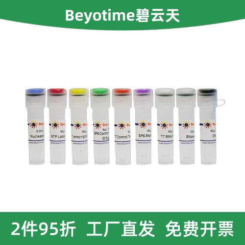 RNA生物素标记试剂盒(SP6/T7)