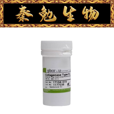 Gibco胶原酶IV型17104-019