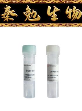 赛维尔 货号：G3521-100T SweFast Cut NdeI