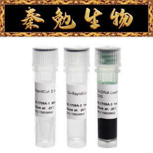Biosharp白鲨 BL1709A RapidCut Ⅱ FspI 快速限制性内切酶