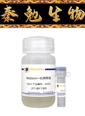 碧云天 AF0222 MAPK14 Mouse Monoclonal Antibody