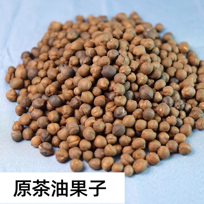 山茶油果手工材料造型贴画手工