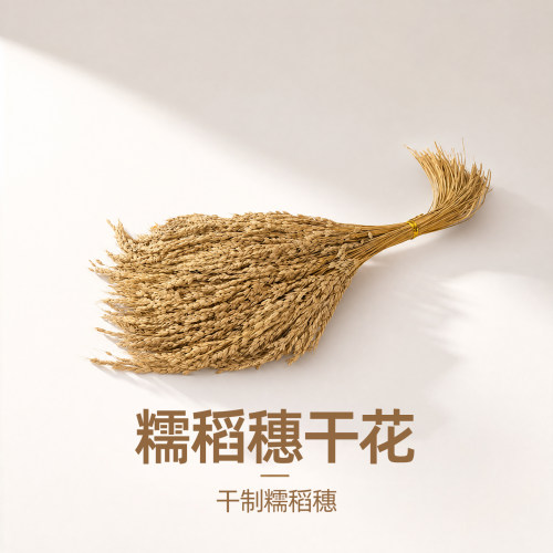 糯稻穗插花摆件手工材料布景干花