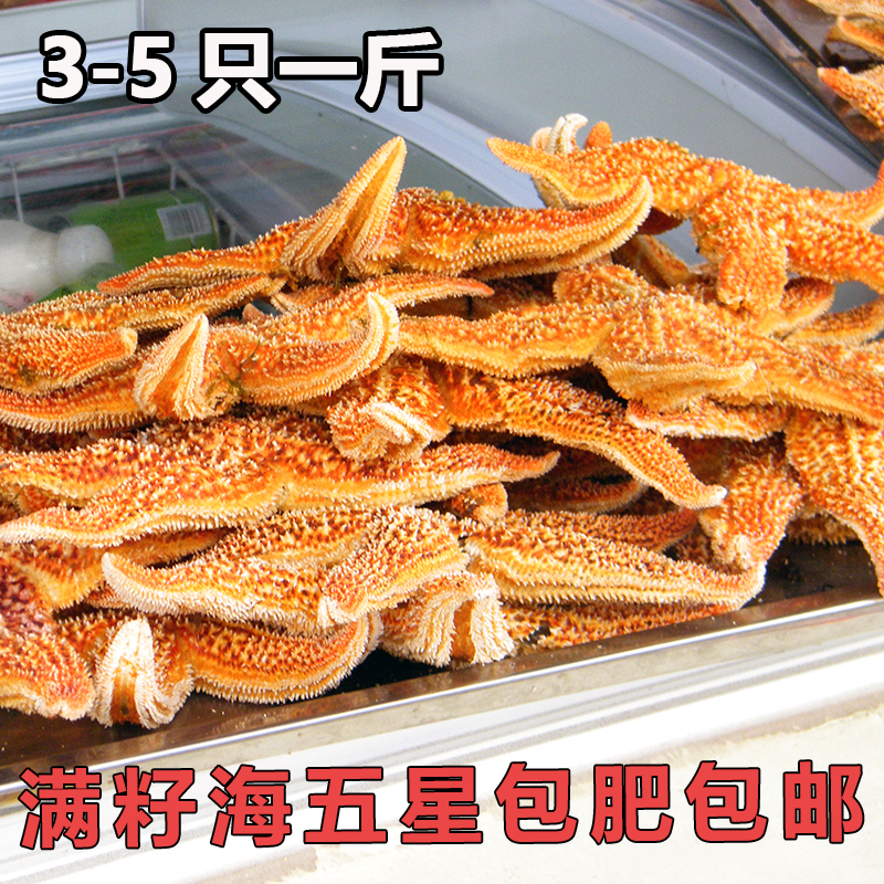 海星海鲜野生五角水产