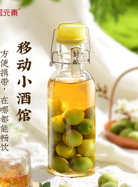 酒瓶空瓶白酒2斤玻璃储酒瓶子自酿青梅杨梅泡酒玻璃瓶密封罐酒罐