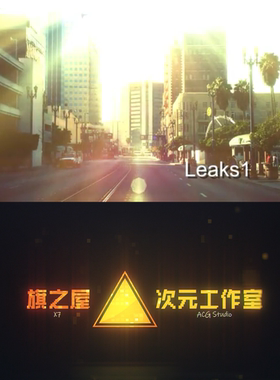 15组光效素材Leaks 4 (15-Pack光晕模板AE PR PS后期合成特效光斑