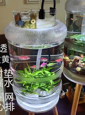 透明纯净水桶改装鱼缸生态养鱼