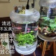 透明纯净水桶改装 鱼缸生态养鱼支架矿泉水桶鱼缸带鱼排水阀18.9升