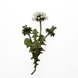 欧美饰品 Vintage时尚女款精美饰品蒲公英花天然珍珠绿色烤漆胸针