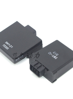 适用雅马哈100摩托车 林海福喜 丽鹰 鬼火 酷奇JOG巧格 点火器5WY