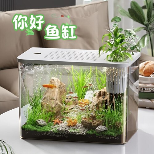 桌面生态鱼缸透明塑料金鱼缸带盖客厅造景耐摔桌面缸办公室创意缸