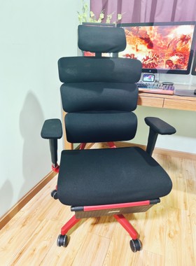 Ergomax Evolution2 PROMax电脑椅套人体工学椅子防尘布套罩通用