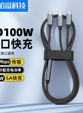 Type-C一拖二PD100W快充线通用