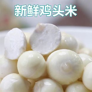 多地包邮 新鲜鸡头米 苏芡 扬州宝应芡实 500克 时令生鲜