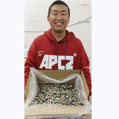 宝应紫园茨菇地标农产品