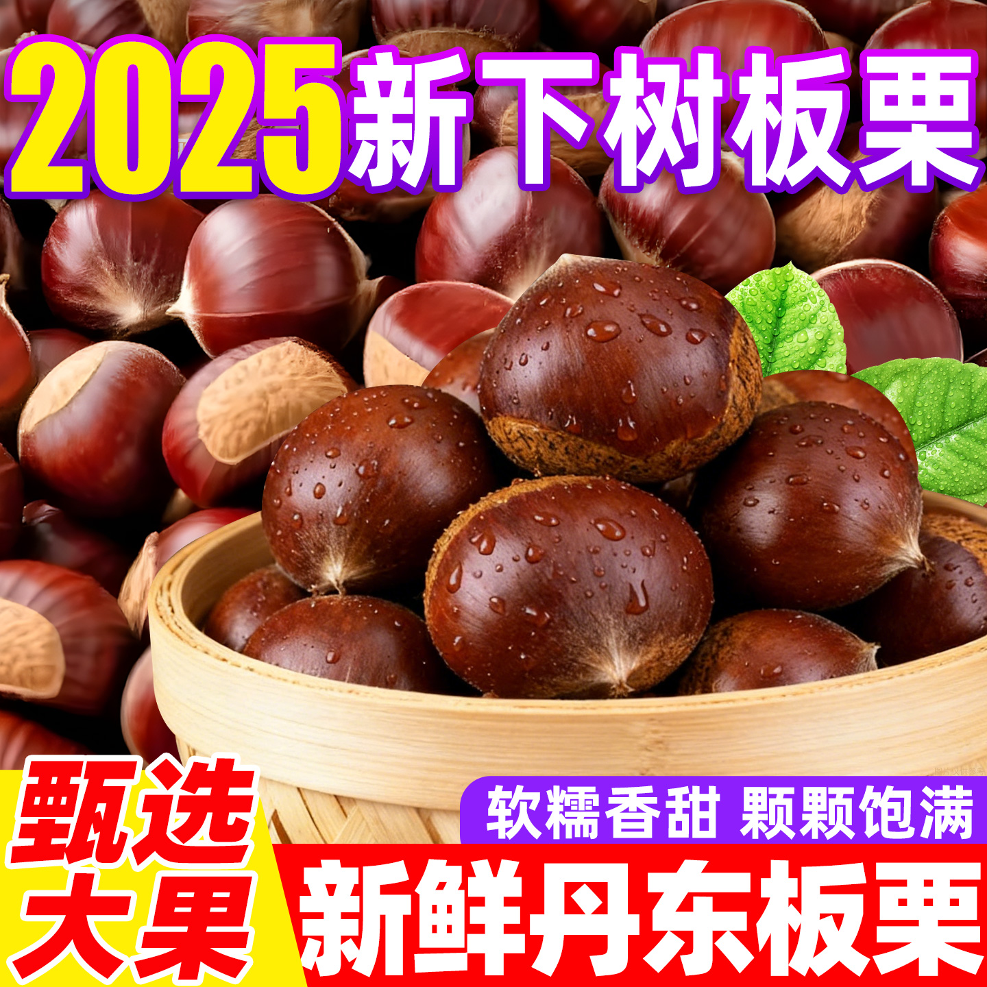 丹东直发新鲜板栗2025新货