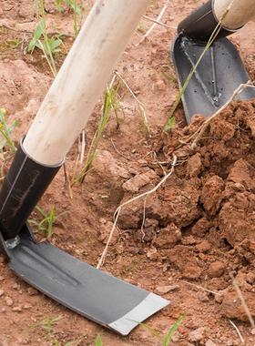 锄头家用种菜锰钢挖土老式农用专用挖笋神器开沟锄草农具工具除草