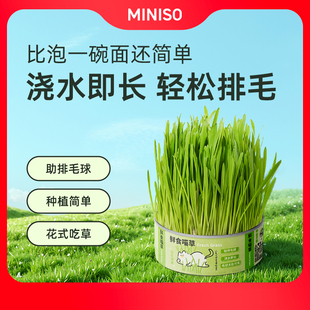 miniso名创优品猫草种植罐头鲜食喵草绿植盆栽摆件化毛草排毛球