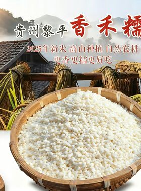 2025年贵州正宗香禾糯农家糯米高山梯田老品种做粽子米2斤5斤10斤