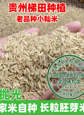 贵州深山老品种胚芽米1斤