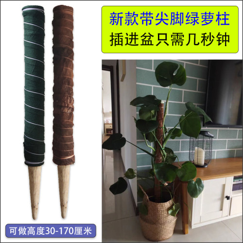 龟背竹绿萝棒棕柱植物攀爬架