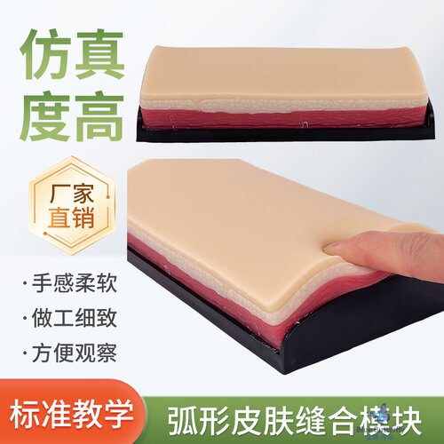 蓝蝶模型皮肤缝合练习切开教学