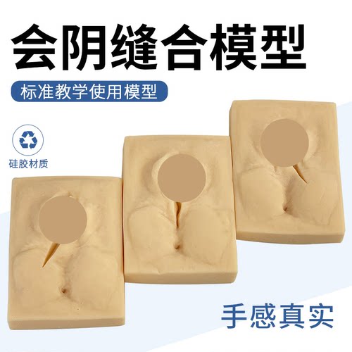 蓝蝶高级会阴切开缝合模型硅胶