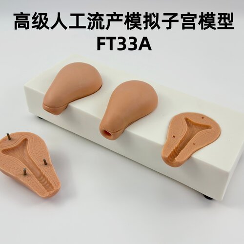 高级人工流产模拟子宫模型 3个模拟子宫解剖 妇产科训练教具FT33A