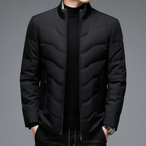 92002/P165羽绒服男外套中青年爸爸立领羽绒衣商务外套图片