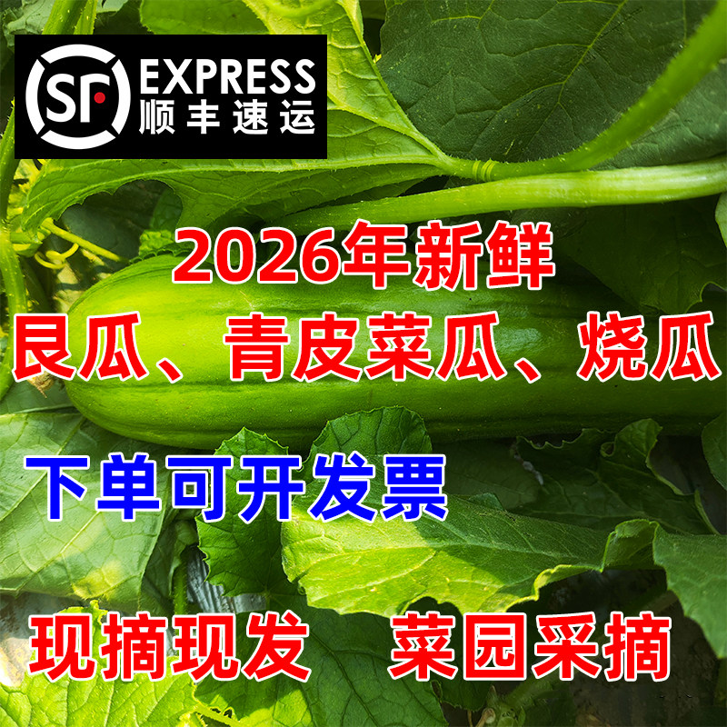 生吃、凉拌、腌菜,小时候的味道