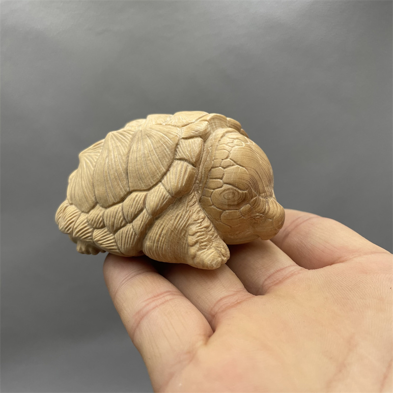 鹰嘴猪鼻陆龟苏卡达黄杨木