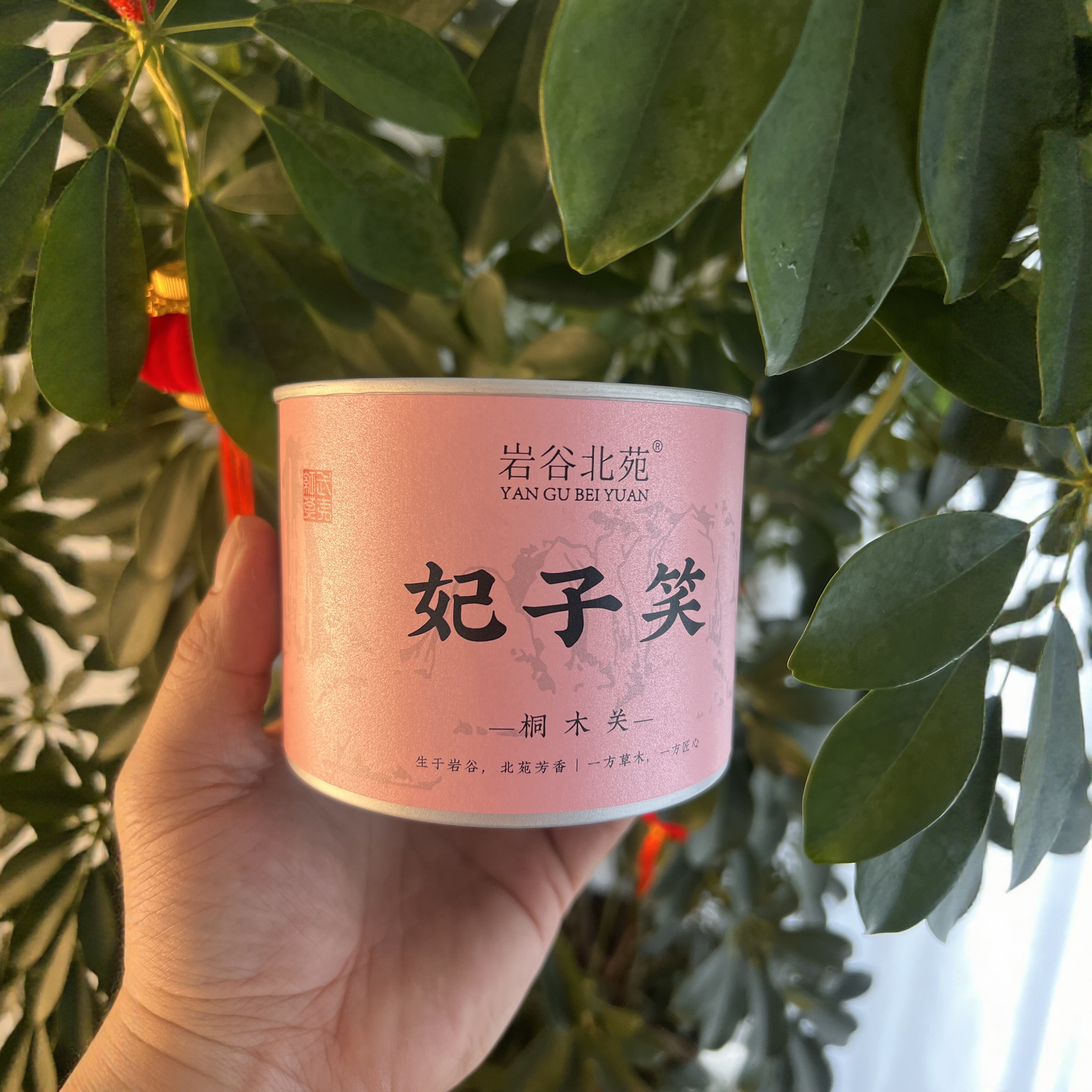 26年新茶武夷山桐木关《妃子笑》红茶一两罐装